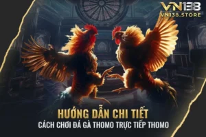 Hướng dẫn chi tiết cách chơi đá gà THOMO trực tiếp