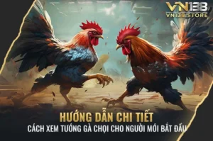 Hướng dẫn chi tiết cách xem tướng gà chọi cho người mới bắt đầu