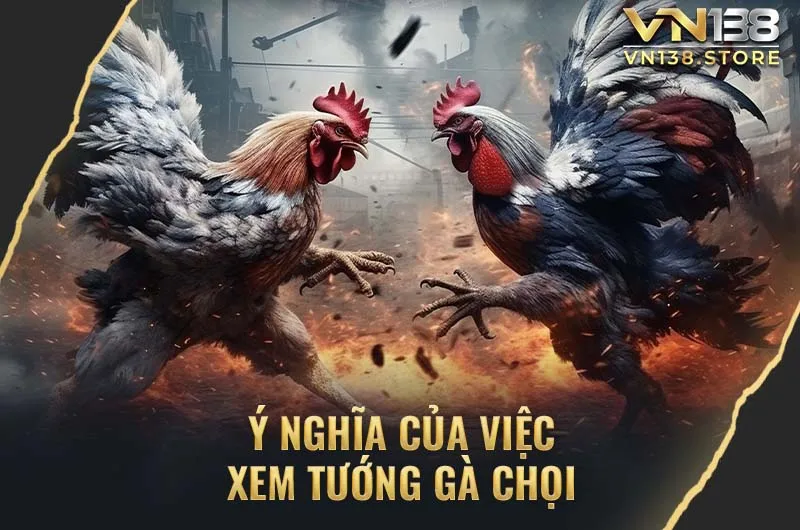 Tại sao cần xem tướng gà chọi ?