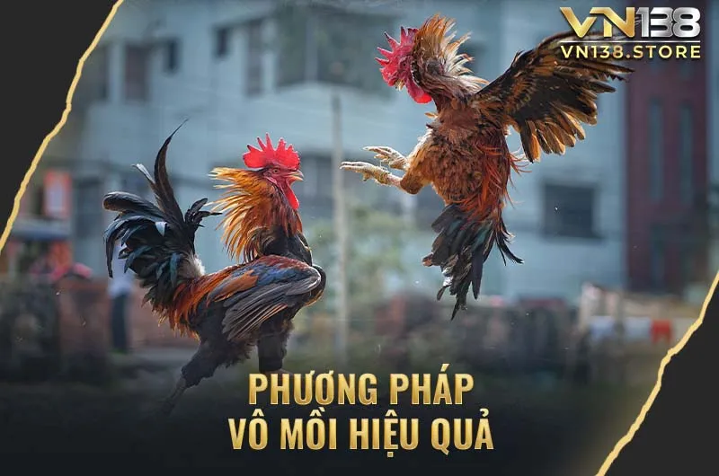 Phương pháp vô mồi gà đá hiệu quả