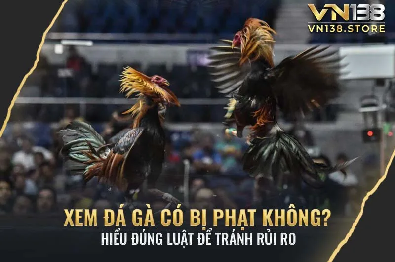 Xem Đá Gà Có Bị Phạt Không?