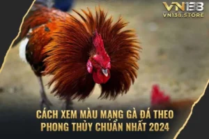 Cách Xem Màu Mạng Gà Đá Theo Phong Thủy Chuẩn Nhất 2024