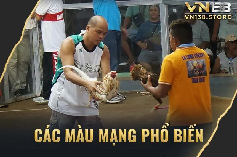 Các màu mạng gà đá phổ biến