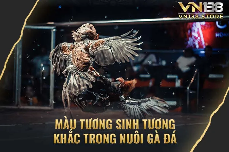 Màu Tương Sinh Tương Khắc Trong Nuôi Gà Đá